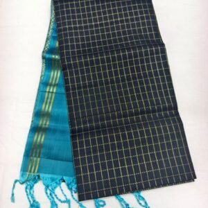 Teal Handloom Soft Silk Saree with Double Warp Weave - Black Zari Border - full view