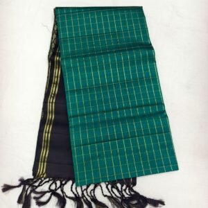 Green Handloom Soft Silk Saree with Double Warp Weave - Black Zari Pallu - full view