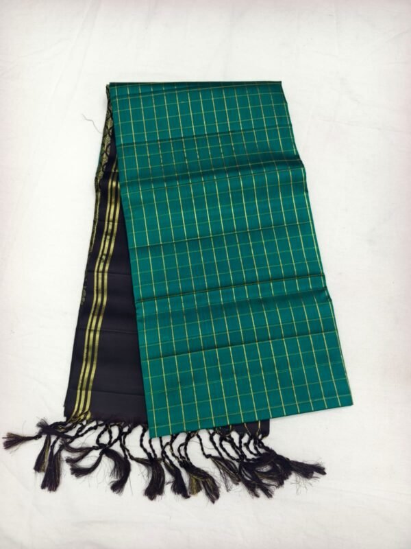 Green Handloom Soft Silk Saree with Double Warp Weave - Black Zari Pallu - full view
